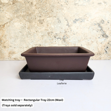 Load image into Gallery viewer, The Leaferie Bonsai rectangular series 3. Purple sand material .2 designs