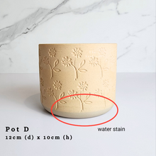 Load image into Gallery viewer, The Leaferie As-is Feb 24. Pot D