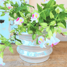 Load image into Gallery viewer, Tuiren Flowerpot