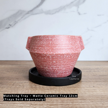 Load image into Gallery viewer, The Leaferie Liora pink flowerpot. ceramic material