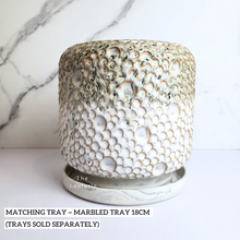 Load image into Gallery viewer, The Leaferie Gallagher crater pot.