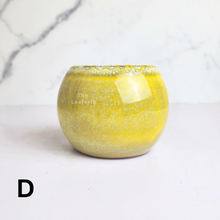 Load image into Gallery viewer, The Leaferie Petit Bonsai series 45. 5 colours ceramic pot for succulents