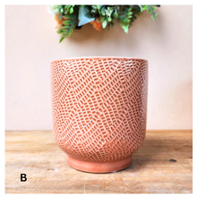 Load image into Gallery viewer, Bronagh Flowerpot