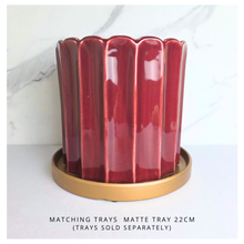 Load image into Gallery viewer, Solara red ribbed ceramic planter with 'LEAFERIE' flowerpot