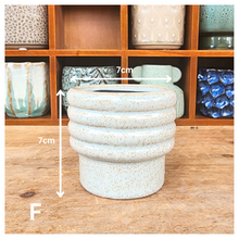 Load image into Gallery viewer, Petit Flowerpots (Series 9)