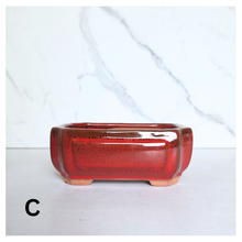 Load image into Gallery viewer, Bonsai Flowerpot (Series 22) Rectangular