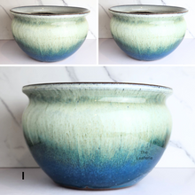Load image into Gallery viewer, Albany Large Flowerpot (9 Designs)