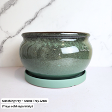 Load image into Gallery viewer, The Leaferie Acacia big pot without drainage holes. ceramic material suitable for fish