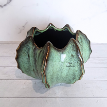 Load image into Gallery viewer, The Leaferie Colbert ceramic flowerpot . 2 colours