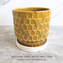 Load image into Gallery viewer, Polie Flowerpot