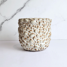 Load image into Gallery viewer, The Leaferie Gatsby Flowerpot. ceramic rock like pot