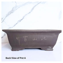Load image into Gallery viewer, Bonsai Rectangular (Series 2)