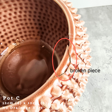 Load image into Gallery viewer, The Leaferie As-is august 24. 12 items