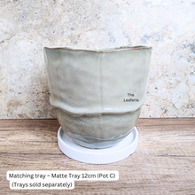 Load image into Gallery viewer, The Leaferie Zane Flowerpot. 3 sizes grey ceramic pot