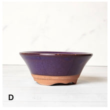 Load image into Gallery viewer, Petit Bonsai Flowerpot (Series 10)