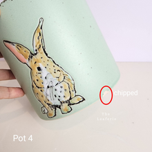 Load image into Gallery viewer, As-Is Pots Batch September 2023 (13 items)