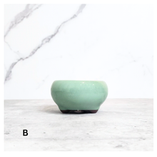 Load image into Gallery viewer, Bonsai Flowerpot (Series 25)