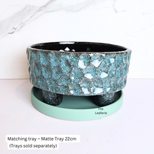 Load image into Gallery viewer, The Leaferie Bolin shallow pot with legs. ceramic material