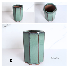 Load image into Gallery viewer, The Leaferie Bonsai Series 80. 4 colours ceramic material