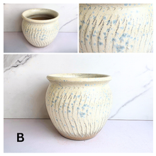 Load image into Gallery viewer, The Leaferie Astra pot . 4 colors. ceramic pot.