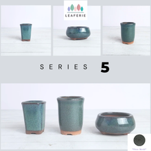 Load image into Gallery viewer, Petit Bonsai Pot (Series 5)