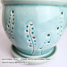 Load image into Gallery viewer, The Leaferie Liane orchid pot with holes and matching tray. ceramic material