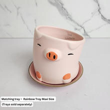 Load image into Gallery viewer, The Leaferie Odell flowerpot . 2 designs pink and white ceramic pot.