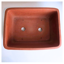 Load image into Gallery viewer, Bonsai Rectangular (Series 2)