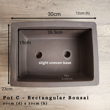 Load image into Gallery viewer, The Leaferie As-is Sale March 24. Pot C