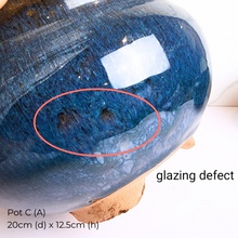 Load image into Gallery viewer, The Leaferie As-is March 25 . 9 items