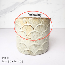 Load image into Gallery viewer, The Leaferie As-Is Pot April 25. 9 items