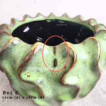 Load image into Gallery viewer, the Leaferie As-is september 2024. 12 pot