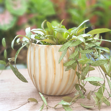 Load image into Gallery viewer, Verona Flowerpot