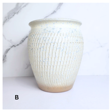 Load image into Gallery viewer, Anika Big Flowerpot (4 Designs)