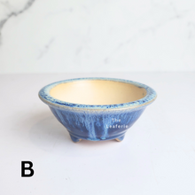 Load image into Gallery viewer, The Leaferie Petit bonsai series 46. 3 colours bonsai pots