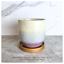 Load image into Gallery viewer, The Leaferie Harlan flowerpot. ceramic material. red base