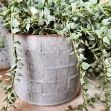 Load image into Gallery viewer, Rory Flowerpot