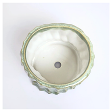 Load image into Gallery viewer, Zian Flowerpot