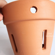 Load image into Gallery viewer, The Leaferie Yui Terracotta pot with holes . suitable for orchid.
