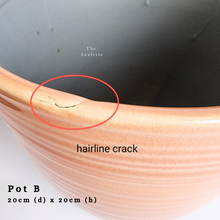 Load image into Gallery viewer, The Leaferie AS-IS october 24. 8 items