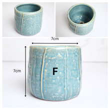 Load image into Gallery viewer, Petit Flowerpots (Series 16)