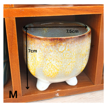 Load image into Gallery viewer, Petit Flowerpots (Series 3)