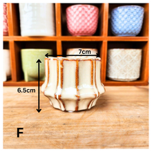 Load image into Gallery viewer, Petit Flowerpots (Series 7)