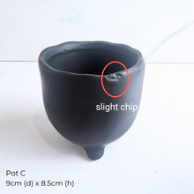 Load image into Gallery viewer, The Leaferie As-Is Feb 2025. 9 pieces items