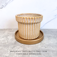 Load image into Gallery viewer, Willy Flowerpot