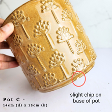 Load image into Gallery viewer, The Leaferie AS-Is May 2024. 12 pieces ceramic pots