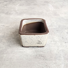 Load image into Gallery viewer, The Leaferie Petit Bonsai Series 77 (4 colours) square ceramic material