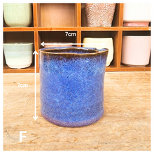 Load image into Gallery viewer, Petit Flowerpots (Series 8)