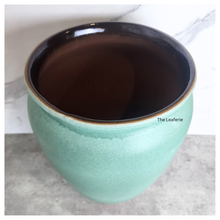 Load image into Gallery viewer, The leaferies Aures tall pot series 3 . 2 colours ceramic pot
