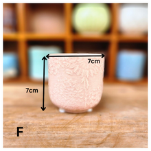 Load image into Gallery viewer, Petit Flowerpots (Series 6)